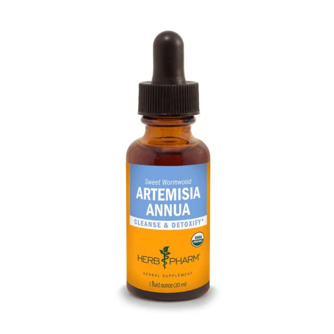 Artemisia Annua by Herb Pharm - 1 oz