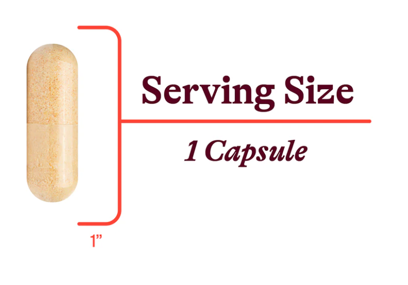 B Complex Plus by Seeking Health - 100 Capsules