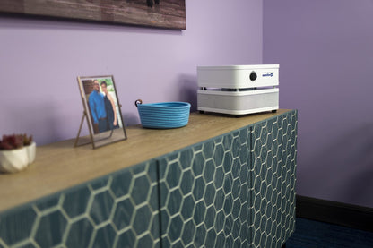 Austin Air Filter - "it" Unit with HEPA